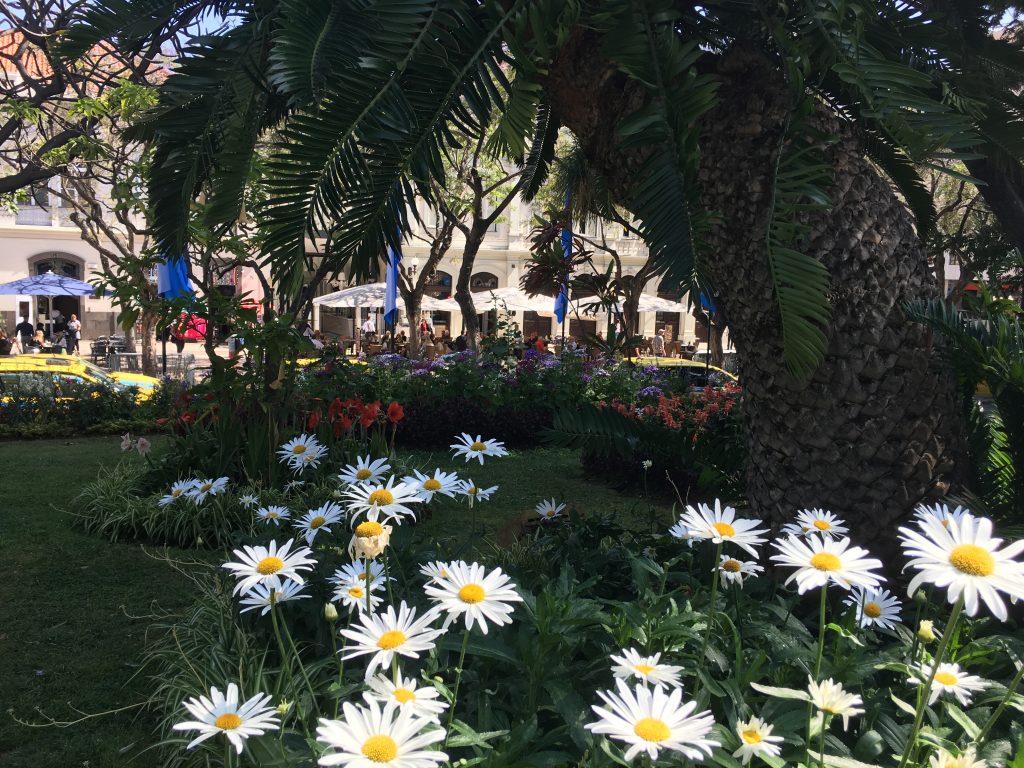 Municipal Gardens