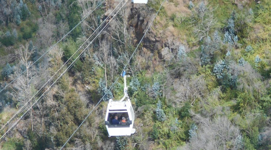 Botanical Gardens - Monte Cable car