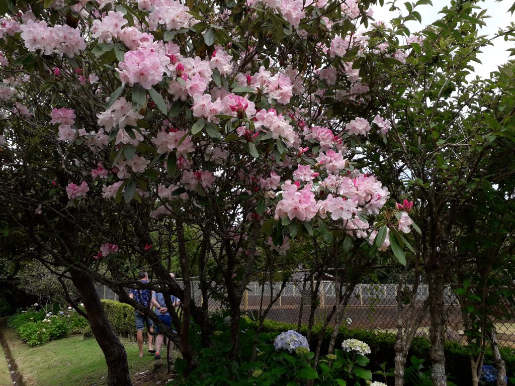 Santo da Serra Park