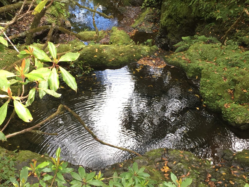 Rock Pools on Levada Walk