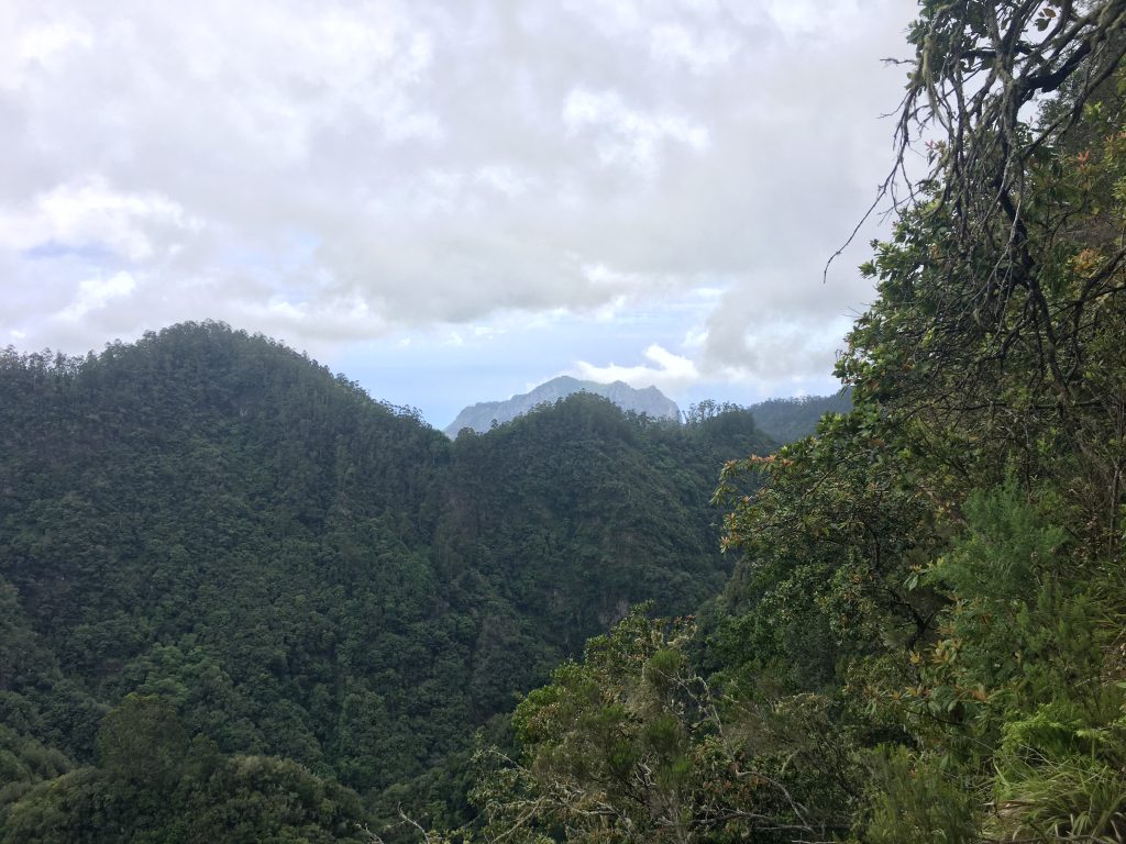 Mountain View - on Ribeiro Frio Levada