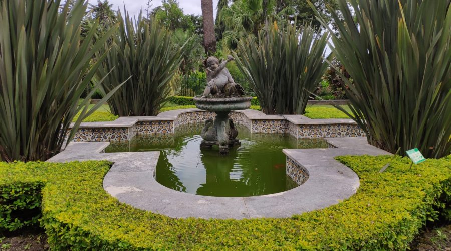 Pond in Jardim do Lago