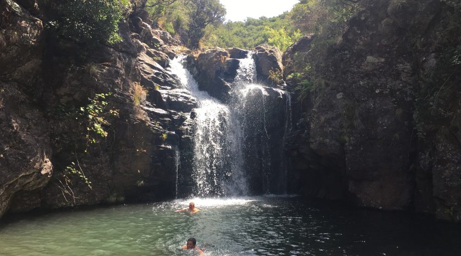 Swimming in the rock pool